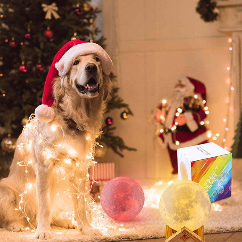 a dog wearing a santa hat and lights
